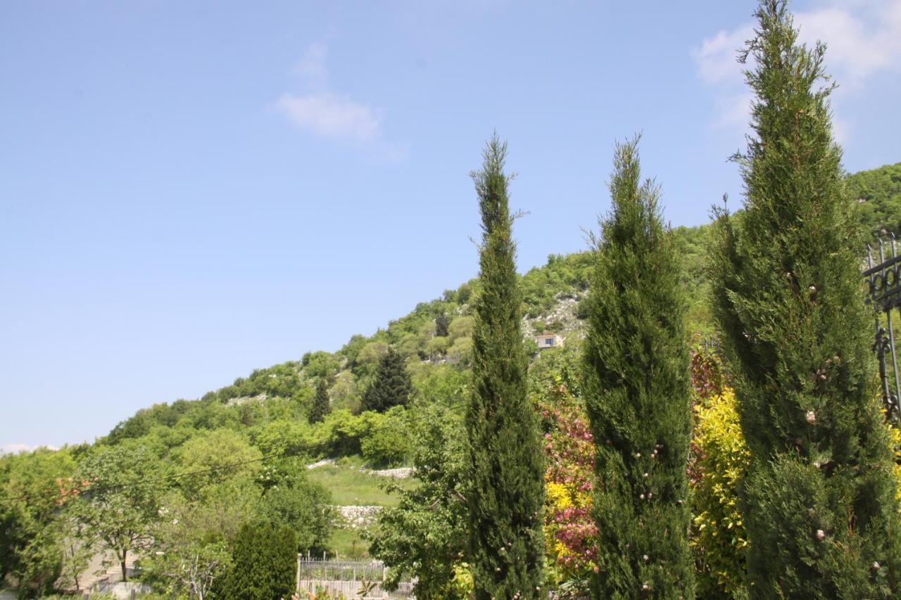 Villa Eagle Eye Montenegro Котор Экстерьер фото